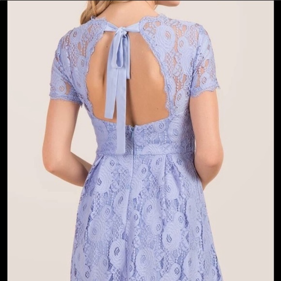 Francescas blue lace open back dress - Picture 1 of 5
